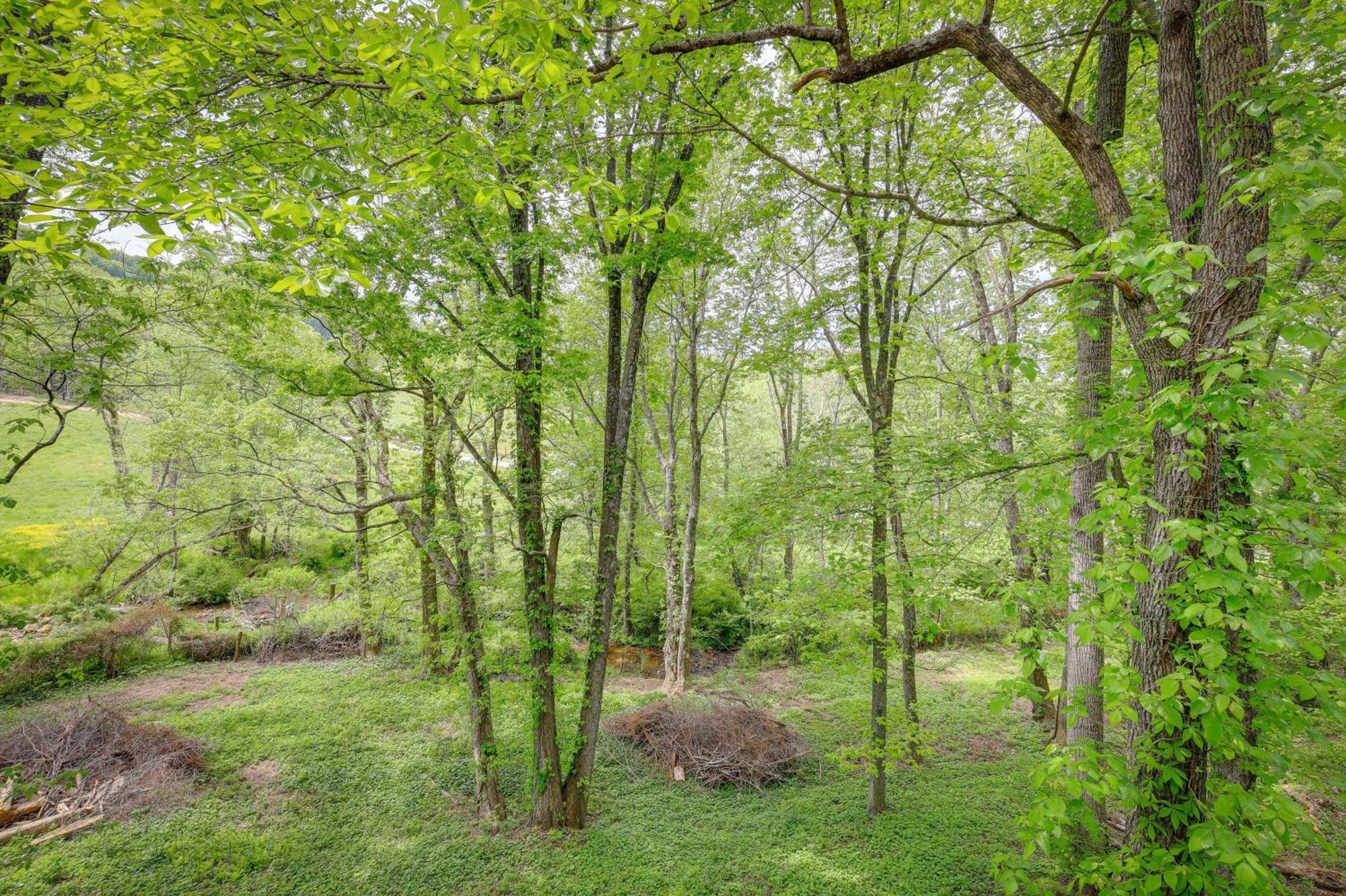Quaint Blue Ridge Cabin Rental With On-Site Stream! Sparta Exteriör bild